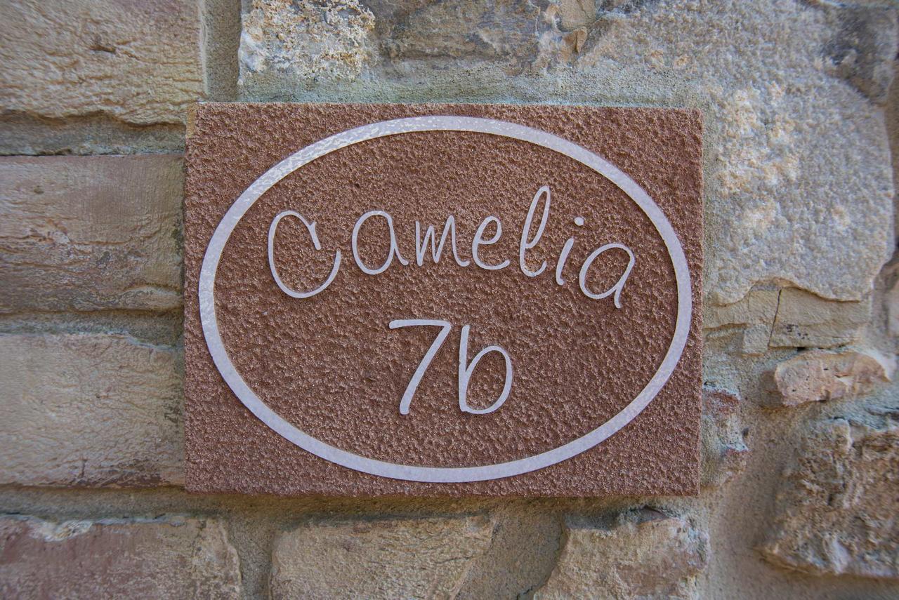 Agriturismo Le Gallozzole Monteriggioni Eksteriør billede