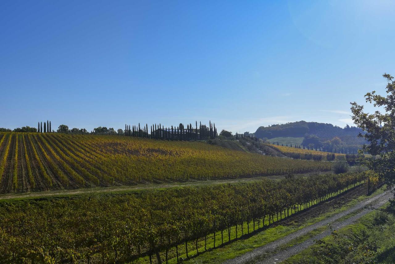 Agriturismo Le Gallozzole Monteriggioni Eksteriør billede